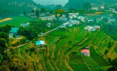 Misty Hills of Ooty & Kodaikanal 6 days