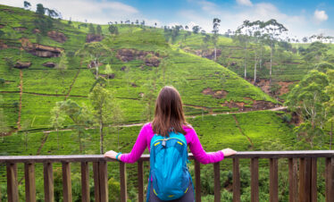 Tropical Sri Lanka Delight for 5 nights & 6 days