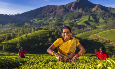 Spicy Kerala Holiday for 6 days