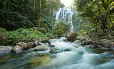 Enchanting Chikamagalur Coorg & Mysore for 6 days