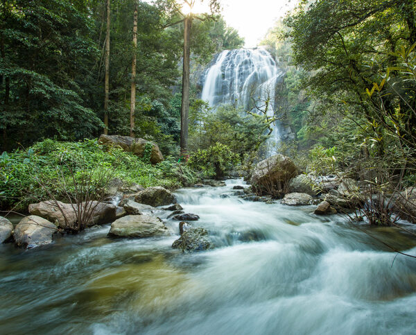 Waterfall in autumn forest