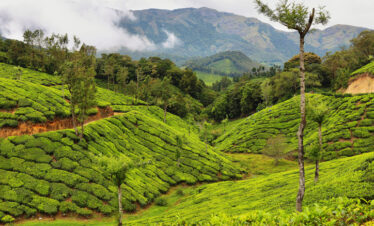 Weekend Getaway Mysore & Ooty for 3 nights & 4 days