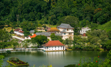 Explore Sri Lanka in 4 nights & 5 days